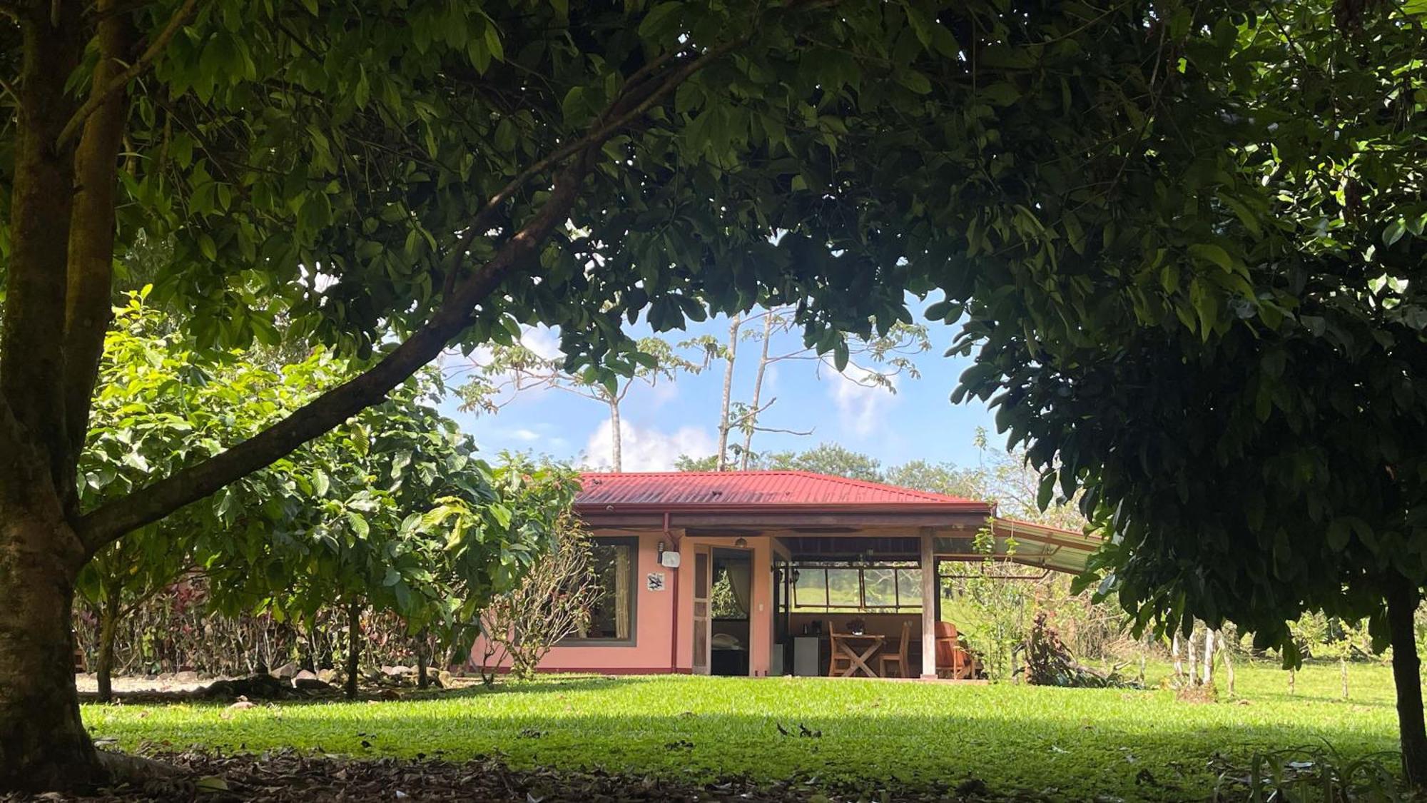 Mei Tai Cacao Lodge Bijagua Zewnętrze zdjęcie