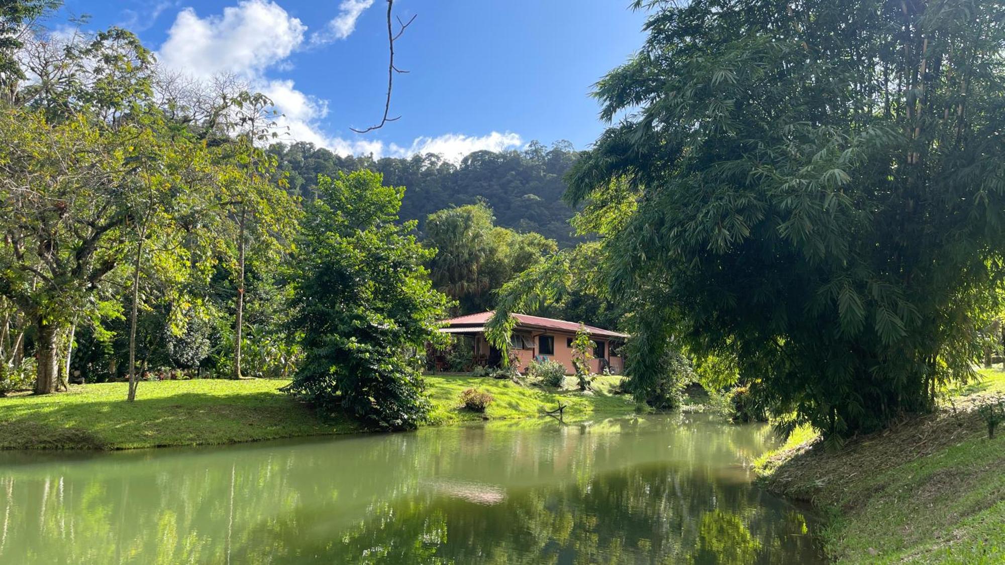 Mei Tai Cacao Lodge Bijagua Zewnętrze zdjęcie