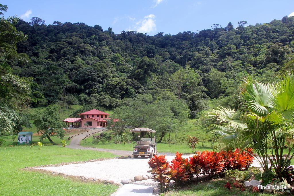 Mei Tai Cacao Lodge Bijagua Zewnętrze zdjęcie