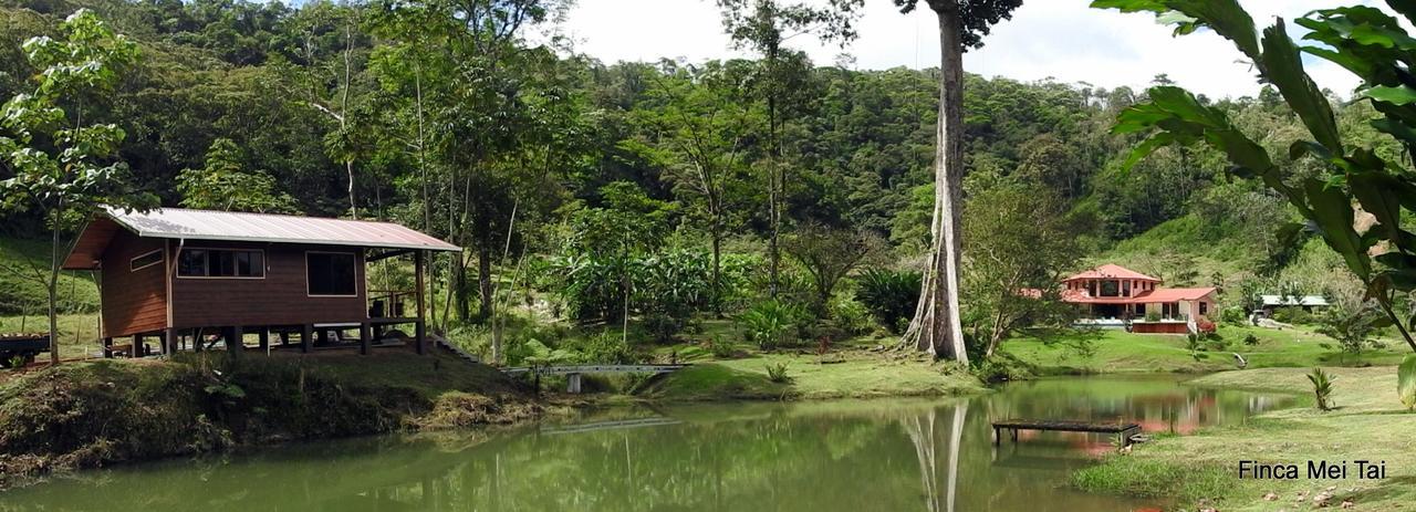 Mei Tai Cacao Lodge Bijagua Zewnętrze zdjęcie