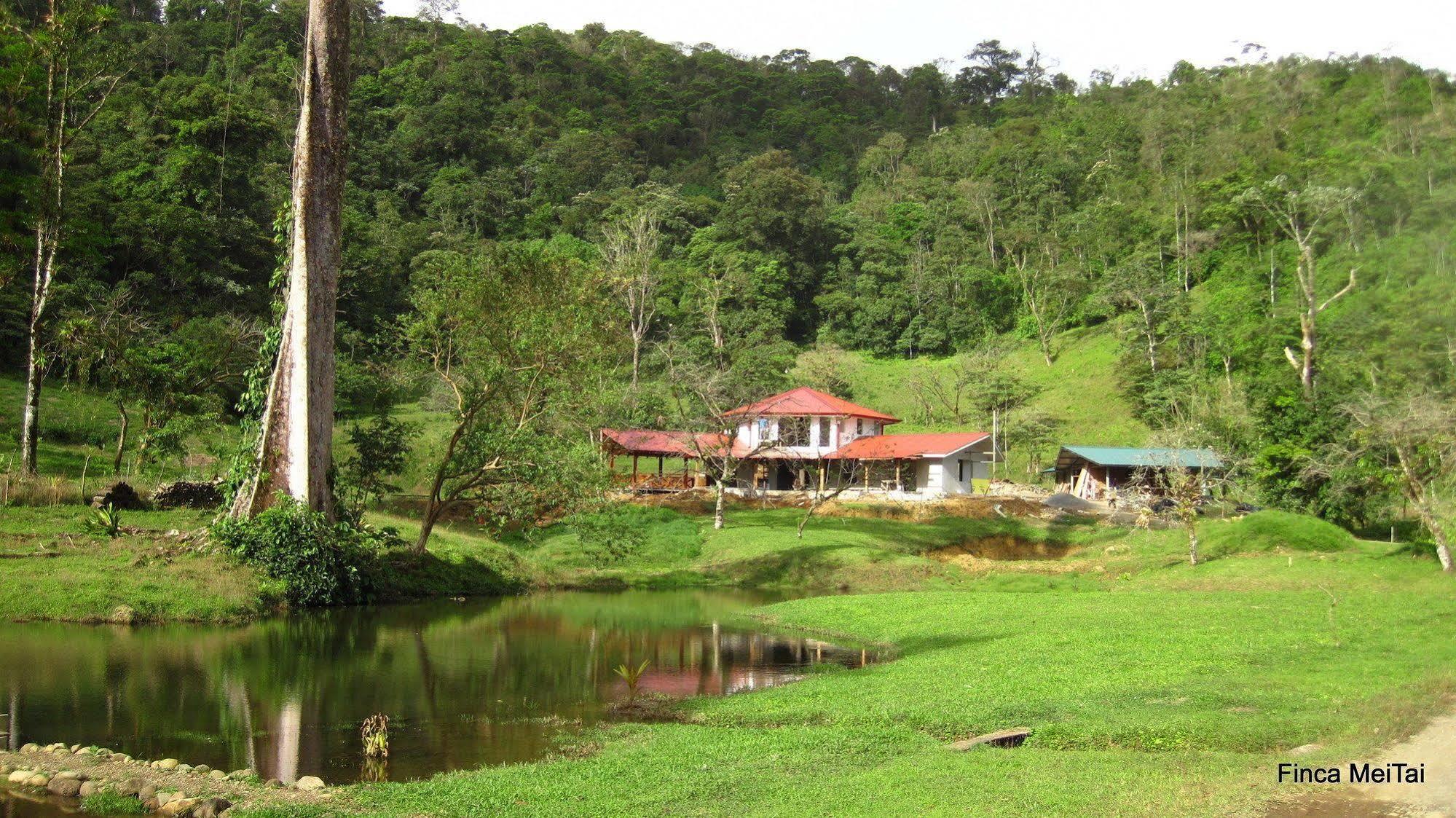 Mei Tai Cacao Lodge Bijagua Zewnętrze zdjęcie